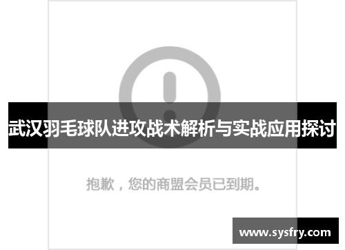 武汉羽毛球队进攻战术解析与实战应用探讨